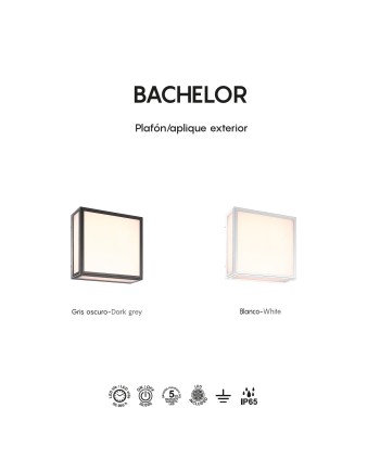 BACHELOR * PLAFÓN/APLIQUE EXTERIOR GRIS OSCURO LED IP65 - 14W - 3000K